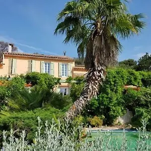 Les Palmiers Séjour chez l'habitant Toulon